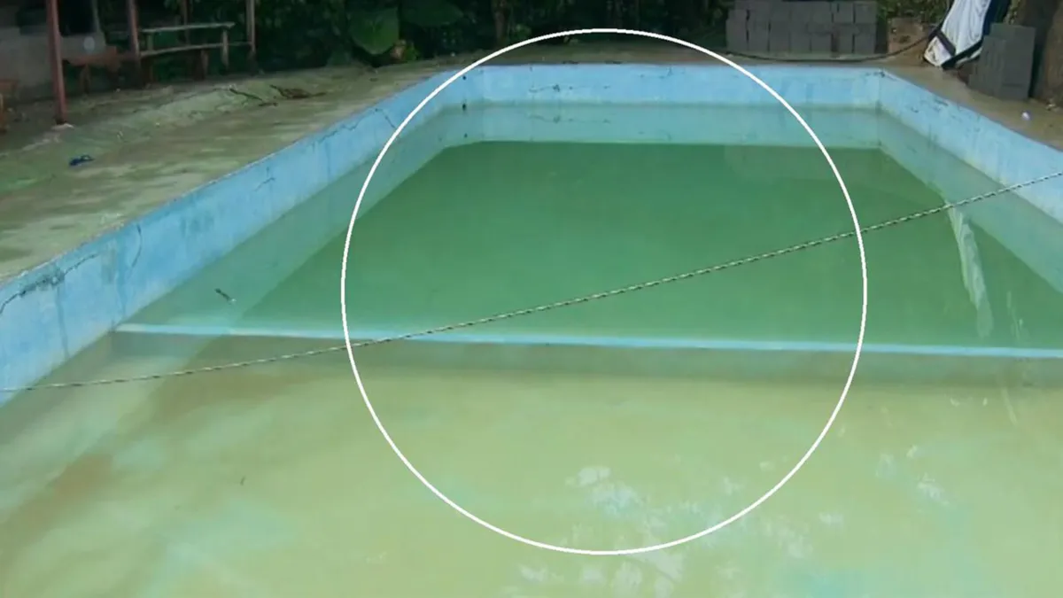 Fiação caída dentro de piscina de chácara | Foto: Reprodução/TV Globo