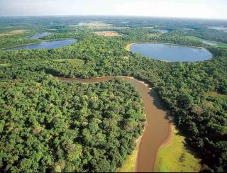 Senado aprova PL do Estatuto do Pantanal