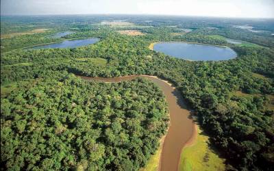 Senado aprova PL do Estatuto do Pantanal